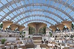 Sun Princess Gallery Image